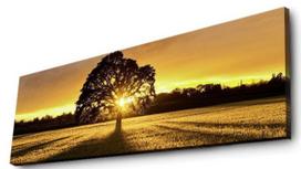 Sienos dekoracija Wallity 3090DACT-68 254LED3266, 900 mm x 300 mm