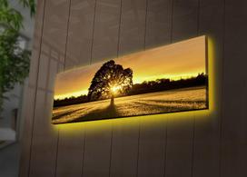 dekoratyvines sienos - Sienos dekoracija Wallity 3090DACT-68 254LED3266, 900 mm x 300 mm - 2 nuotrauka
