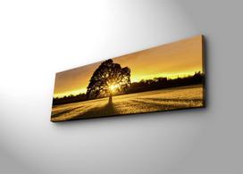 dekoratyvines sienos - Sienos dekoracija Wallity 3090DACT-68 254LED3266, 900 mm x 300 mm - 3 nuotrauka