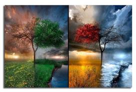 Paveikslas Wallity Canvas Painting 5070C-46 237HRZ3274, 700 mm x 450 mm