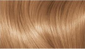 excellence creme 7 - Loreal Professionnel Excellence Creme plaukų dažai - 7.3 Blond Gold - 2 nuotrauka