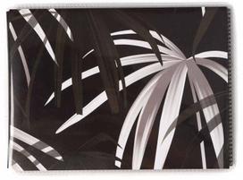 Focus album Base Line Canvas 11x15/36, black