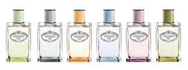 prada iris - Prada Infusion D'Iris Cedre 100ml EDP - 4 nuotrauka