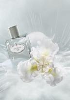 prada iris - Prada Infusion D'Iris Cedre 100ml EDP - 5 nuotrauka