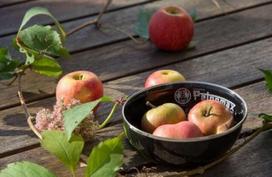 dubeneliai emaliuoti -  Petromax Enamel Bowl 73063, emaliuotas plienas, 153 mm, 2 vnt. - 2 nuotrauka