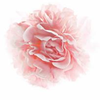 age perfect golden age - L'Oréal Age Perfect Neo-Calcium Kremas rose strengthening day cream 50ml - 6 nuotrauka
