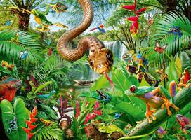 roplas - Dėlionė Ravensburger Dolphin Paradise, 300 vnt. - 2 nuotrauka