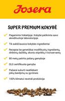 josera 2kg katems - Josera DailyCat begrūdis sausas maistas katėms 2 kg - 2 nuotrauka