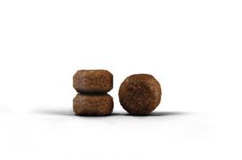 josera 2kg katems - Josera DailyCat begrūdis sausas maistas katėms 2 kg - 3 nuotrauka