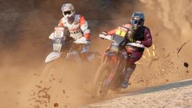 Pirkti Dakar Desert Rally (PS4) - Photo 4