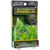 NATIONAL GEOGRAPHIC rinkinys Carded Crystal Grow Glow in the Dark