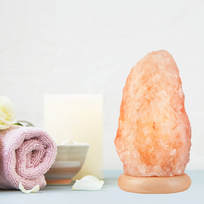 salt lamp - Lamkur SALT LN-1.S/5, E14, pastatomas, 25W - 4 nuotrauka
