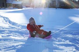 stiga rogutes - Stiga 74-6250-07, rožinė, 680 mm x 520 mm - 5 nuotrauka