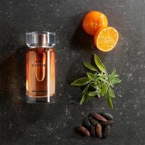 ambra kvepalai - Karl Lagerfeld Bois d'Ambre EDT 100 ml - 3 nuotrauka