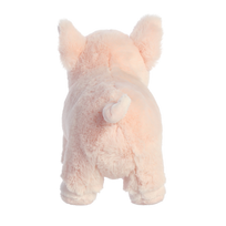 parseliai - AURORA ECO NATION Paršelis, 15 cm - 6 nuotrauka