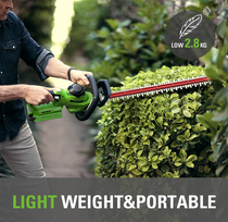 akumuliatorines gyvatvoriu zirkles - Greenworks G40PHAK2 - 6 nuotrauka