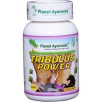 Planet Ayurveda Tribulus Power, 60 kapsulių