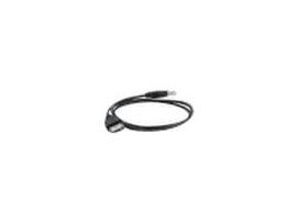 usb extension cable - Gembird Cable USB / USB 0.75m Black - 2 nuotrauka