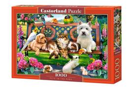 Dėlionė Castorland Pets In The Park, 1000 vnt.
