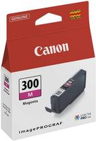 canon tm 200 - CANON 4195C001 - 2 nuotrauka