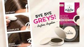 plauku saknu maskuoklis -  Schwarzkopf Palette Root Retouch, Dark Blonde, 0.003 l - 4 nuotrauka