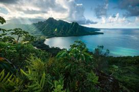 delione 5000 - Ravensburger Puzzle Hawaiian Viewpoint 5000pcs - 3 nuotrauka