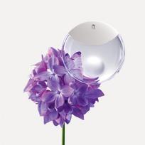 issey drop - Issey Miyake A Drop d'Issey, 30 ml - 3 nuotrauka