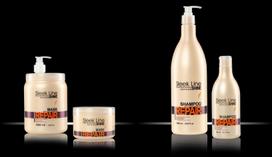 plauku silkas - Stapiz Sleek Line Repair 1000ml Mask - 2 nuotrauka