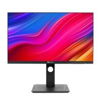 monitorius 1440p - AG NEOVO DW2401 - 1 nuotrauka