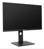 monitorius 1440p - AG NEOVO DW2401 - 12 nuotrauka