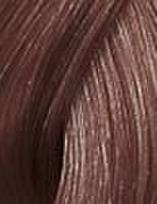 wella color touch - Wella Professionals Color Touch profesionalūs plaukų dažai 60 ml. -  8/3 - Light Gold Blond - 3 nuotrauka