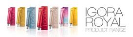 igora dazai - Schwarzkopf Professional Igora Royal Raw Essentials profesionalūs plaukų dažai 60 ml. - 7-21 Medium Blonde Ash Cendré - 3 nuotrauka