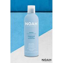 noah kauke - Noah Anti Pollution Moisturizing Conditioner Drėkinamasis kondicionierius, 250ml - 2 nuotrauka