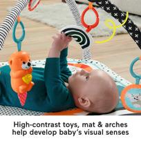 kilimelis fisher price - FP veiklos kilimėlis su šviečiančiu ir grojančiu gyvūnėliu - 4 nuotrauka