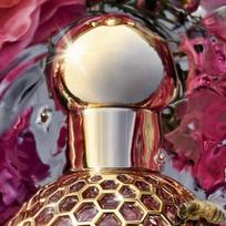 guerlain aqua allegoria - Guerlain Aqua Allegoria Forte Rosa Rossa, 125 ml - 5 nuotrauka