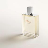 hermes - Hermes Terre d'Hermes Eau Givree EDP 100 ml - 3 nuotrauka