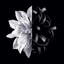 kvepalai l interdit givenchy - Givenchy L'interdit EDT 50ml - 4 nuotrauka