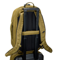kuprine turistine 40l - Thule Aion travel backpack 40L TATB140 nutria (3204724) - 9 nuotrauka