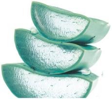 garnier kremas - Garnier Skin Naturals Hyaluronic Aloe Cream drėkinamasis veido kremas - 150 ml. - 4 nuotrauka