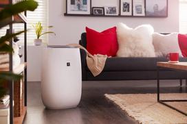 oro jonizatorius - Sharp FP-J40EU-W - 9 nuotrauka