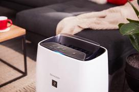 oro jonizatorius - Sharp FP-J40EU-W - 10 nuotrauka