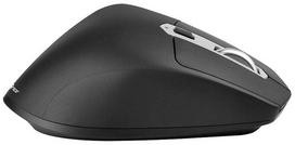 ergonomine pele - Tracer 45677 Ofis X - 3 nuotrauka