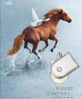 hermes voyage - Hermes Voyage d`Hermes 150ml Deodorant Spray - 2 nuotrauka