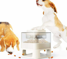 automatines girdyklos - Doggy Village MT7130W Pet Auto-Buffet white - 4 nuotrauka