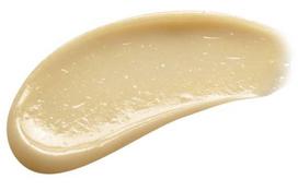 nutricia - Payot Baume Lèvres Cocoon Conforting nourishing care 6g - 2 nuotrauka