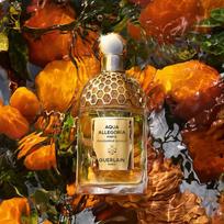 guerlain mandarine basilic - Guerlain Aqua Allegoria Forte Mandarine Basilic EDP 200 ml - 5 nuotrauka