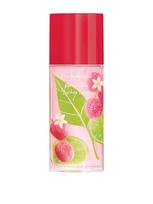 Green Tea Lychee Lime EDT 50 ml