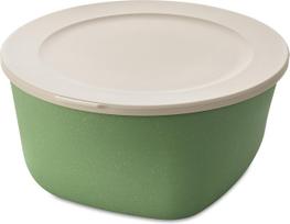  Koziol Daiktų laikymo dėžė Connect Organic Nature žalia 4 l