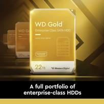ssd serveriam - Western Digital Gold Enterprise 22TB 3.5®® 512MB WD221KRYZ - 2 nuotrauka
