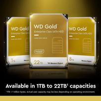 ssd serveriam - Western Digital Gold Enterprise 22TB 3.5®® 512MB WD221KRYZ - 3 nuotrauka